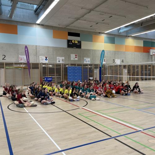 SL Volleyball Landesfinale 2023