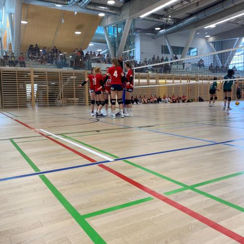 SL Volleyball Landesfinale 2023