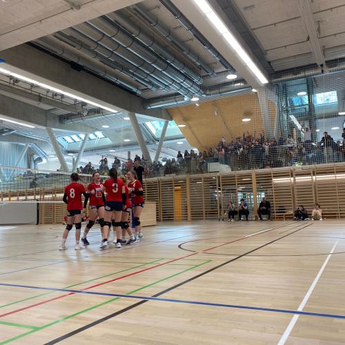 SL Volleyball Landesfinale 2023