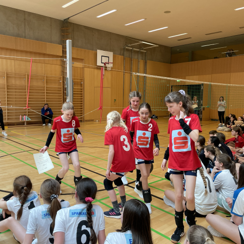 Volleyball Mini-Landesmeisterschaft 2022_23