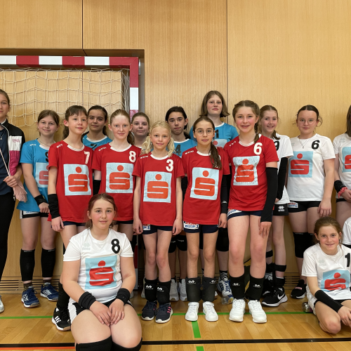 Volleyball Mini-Landesmeisterschaft 2022_23