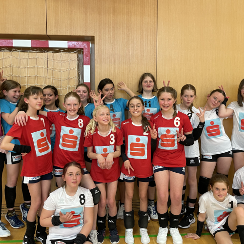 Volleyball Mini-Landesmeisterschaft 2022_23