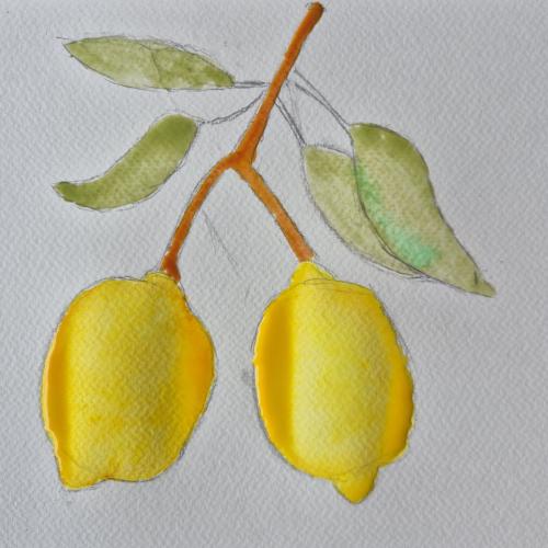 Aquarellworkshop