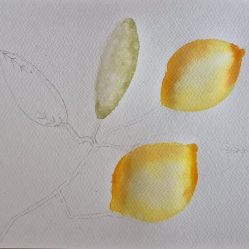 Aquarellworkshop