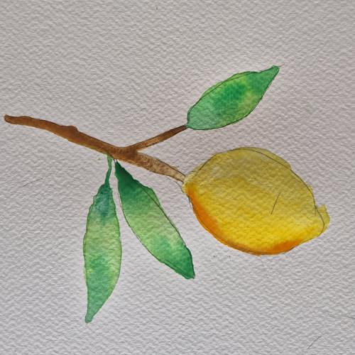 Aquarellworkshop