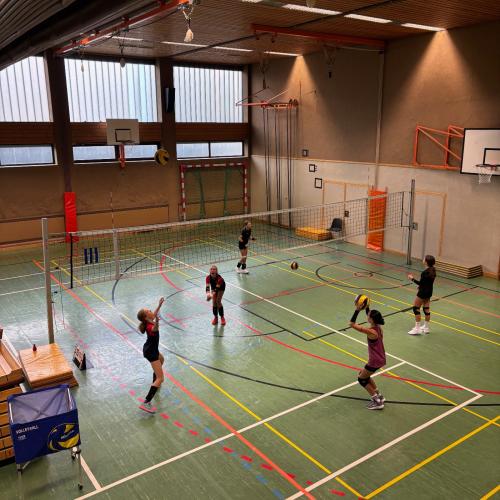 Volleyballcamp 2025