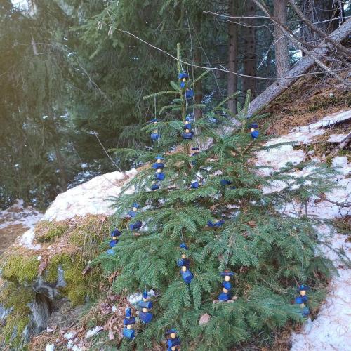 Weihnachtssteppsteig_2025