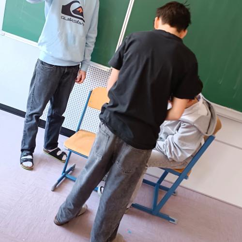 Projekt Leitprinzipien