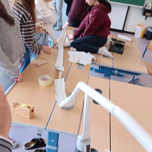 Projekt Leitprinzipien