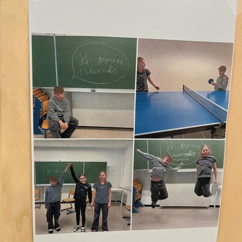 Projekt Leitprinzipien