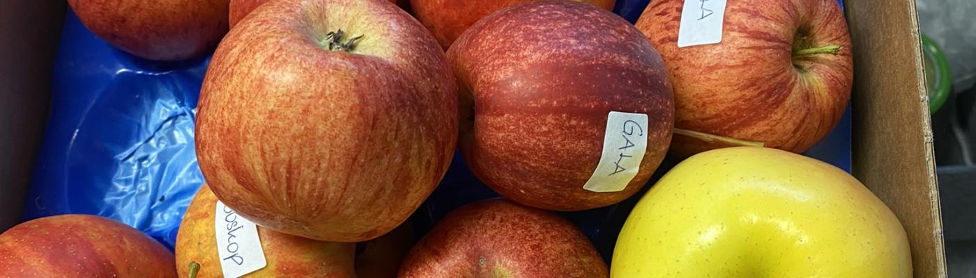 Landwirtschaft macht Schule