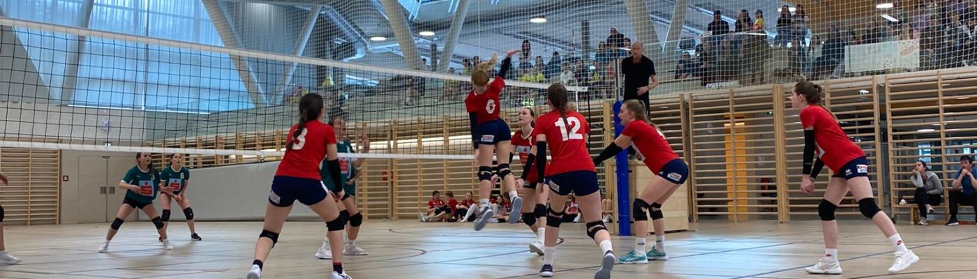 SL Volleyball Landesfinale 2023