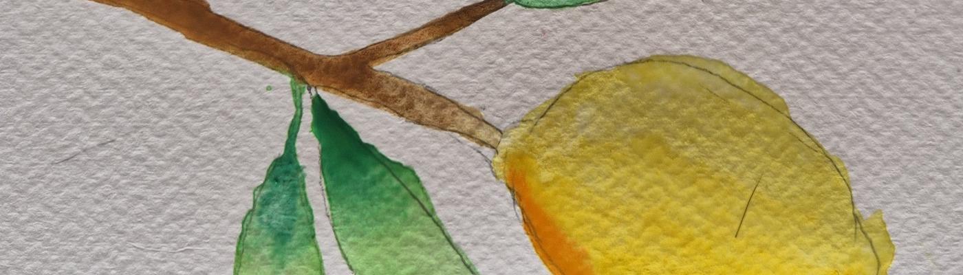 Aquarellworkshop