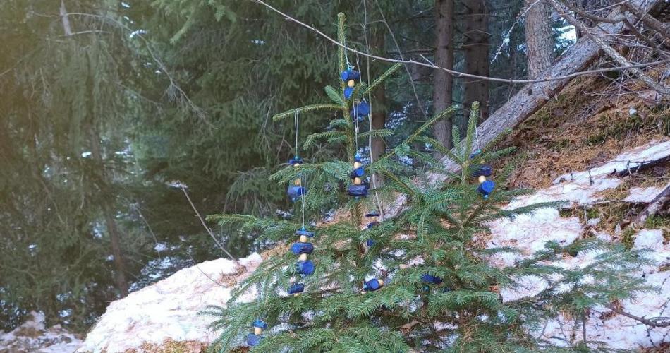 Weihnachststeppsteig_2025